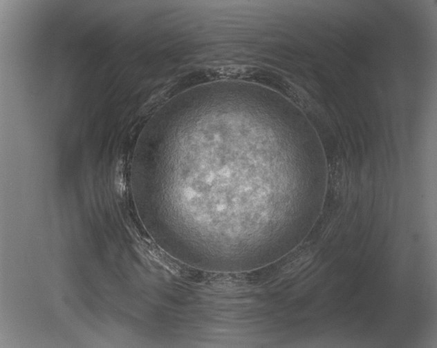 X0000081360962200701111517
