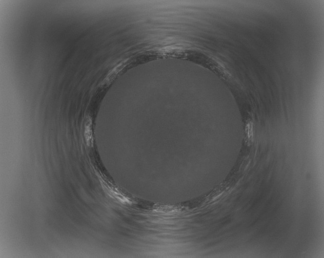 X0000081360963200701111517
