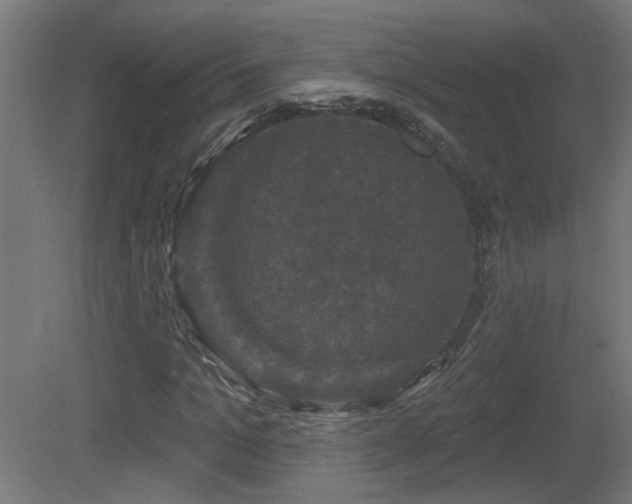 X0000081360965200701111517