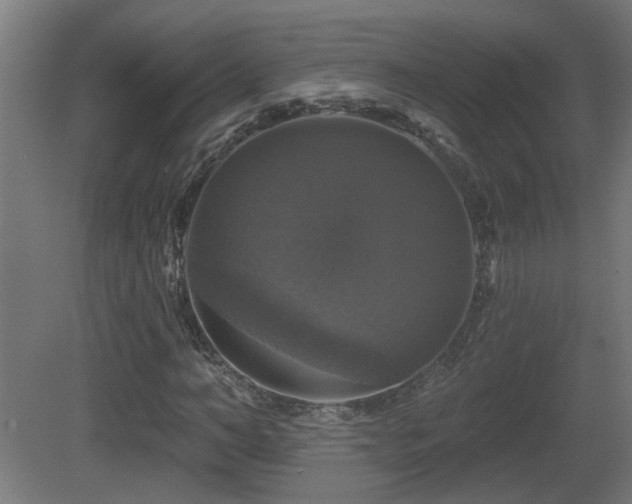 X0000081360966200701111517