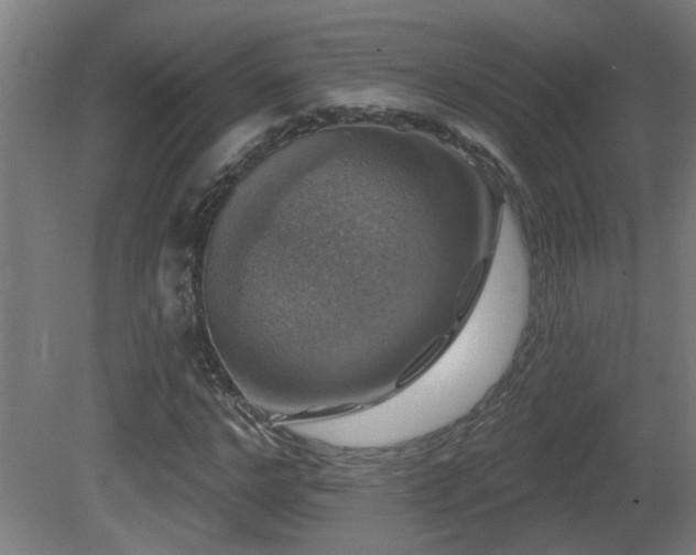X0000081360968200701111517
