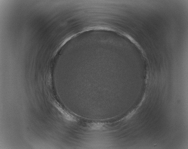 X0000081360969200701111517