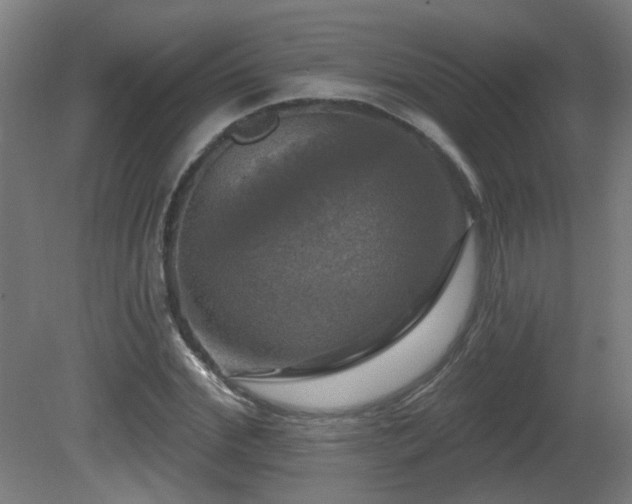 X0000081360972200701111517