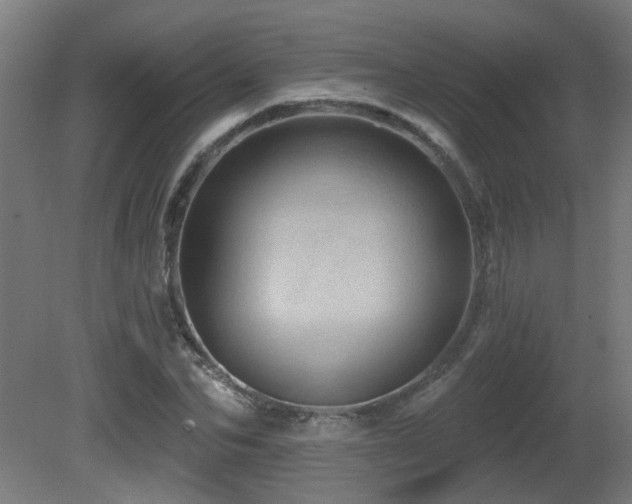 X0000081360974200701111517