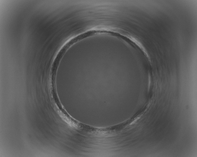 X0000081360976200701111517