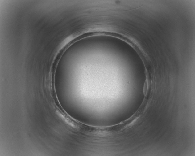 X0000081360982200701111517