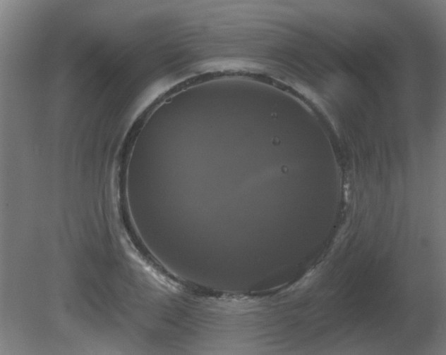 X0000081360983200701111517