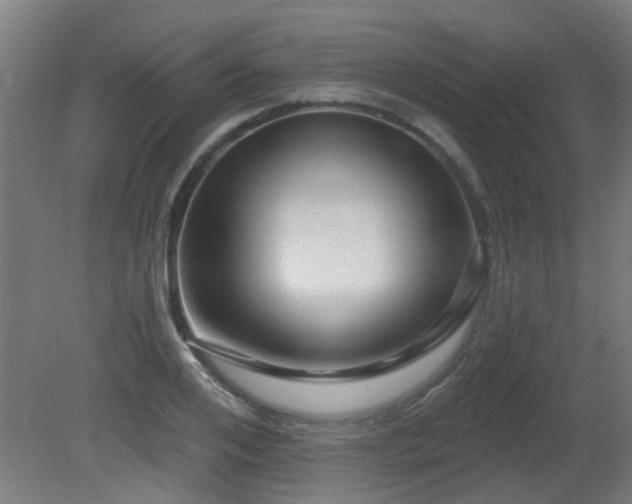 X0000081360984200701111517