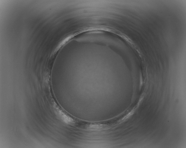 X0000081360985200701111517