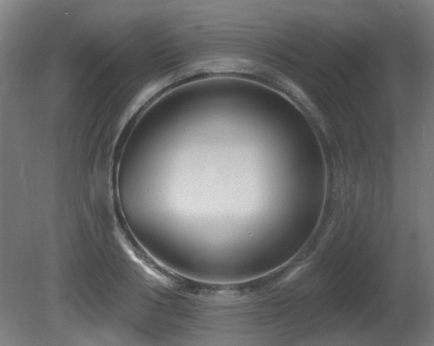 X0000081360986200701111517