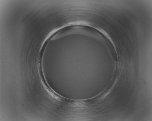 X0000081360989200701111517