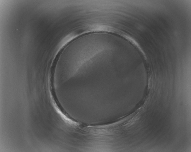 X0000081360991200701111517