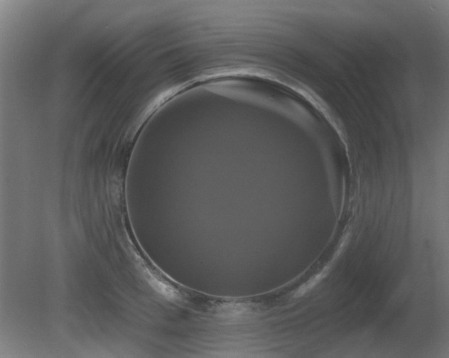 X0000081360993200701111517