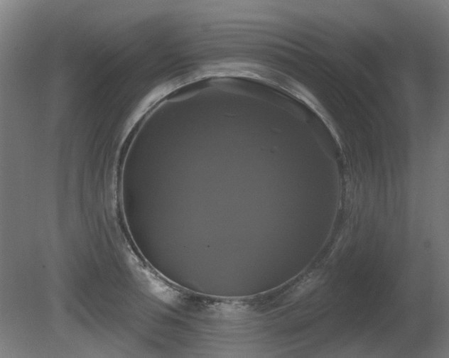 X0000081360994200701111517