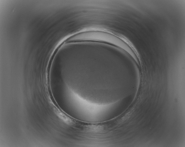 X0000081360996200701111517