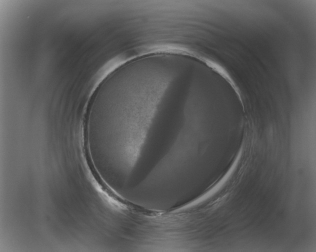 X0000081360999200701111516