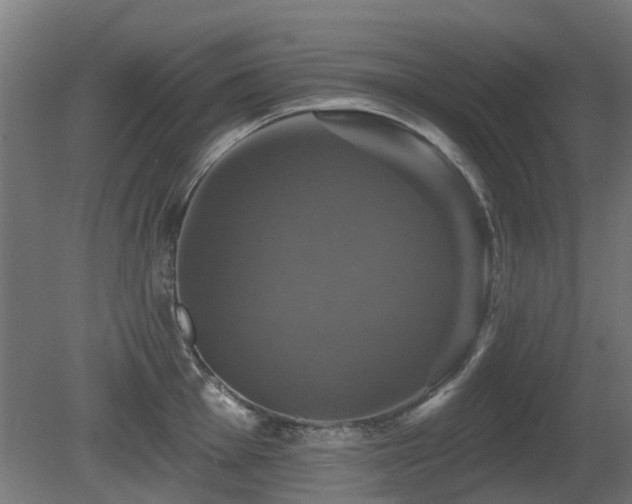 X0000081361001200701111516