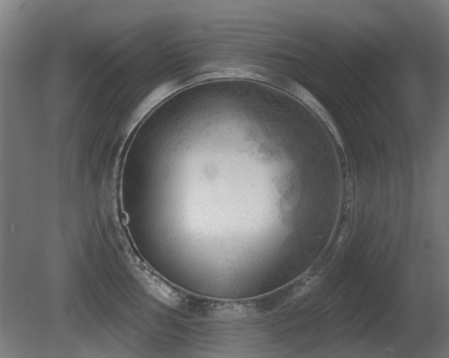 X0000081361002200701111516