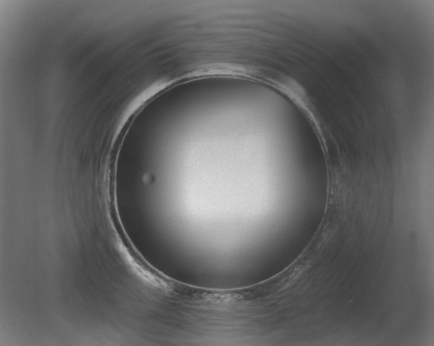 X0000081361003200701111516