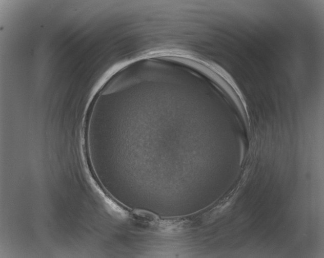 X0000081361005200701111516