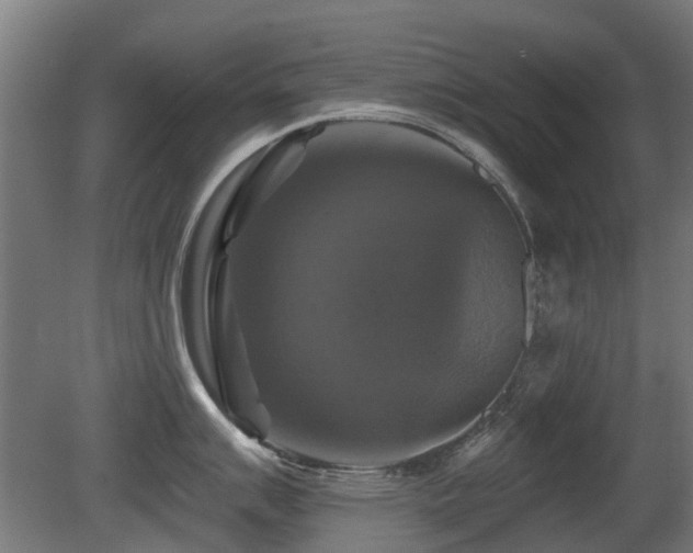 X0000081361007200701111516