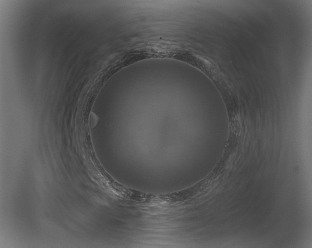 X0000081361009200701111516