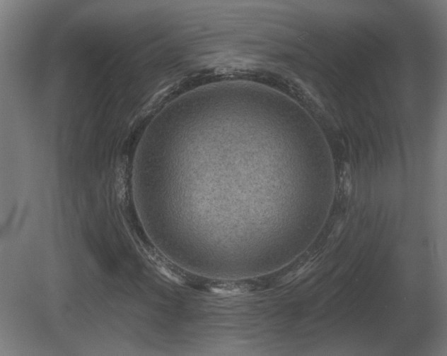X0000081361012200701111516