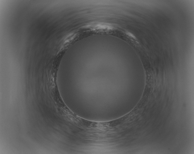 X0000081361013200701111516