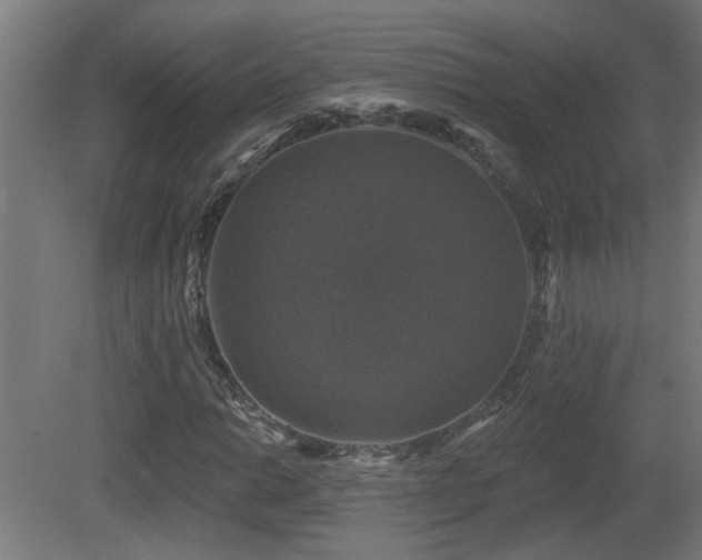 X0000081361014200701111516