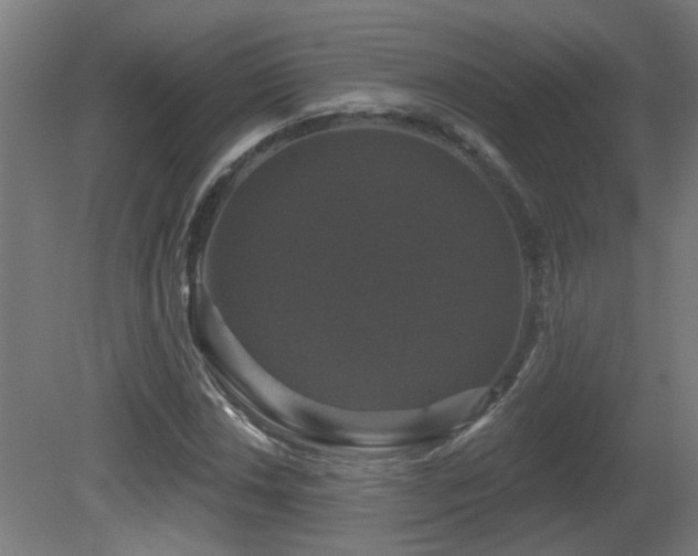 X0000081361018200701111516