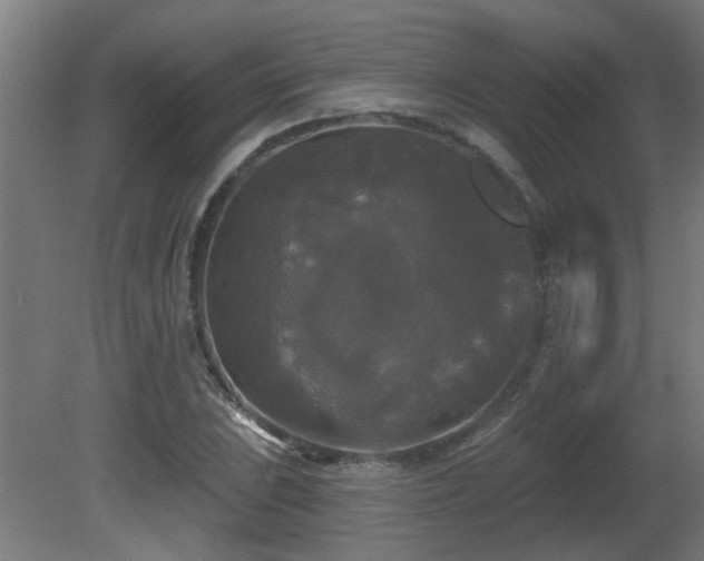 X0000081361023200701111516