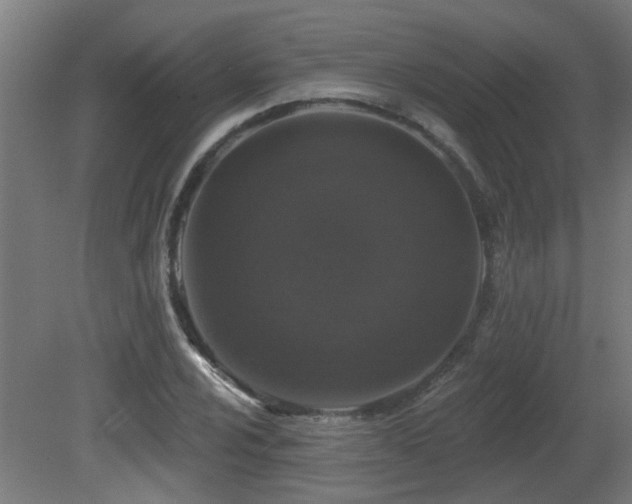 X0000081361024200701111516
