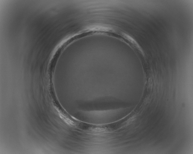 X0000081361027200701111516