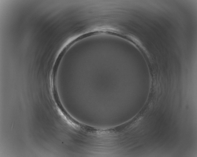X0000081361032200701111516