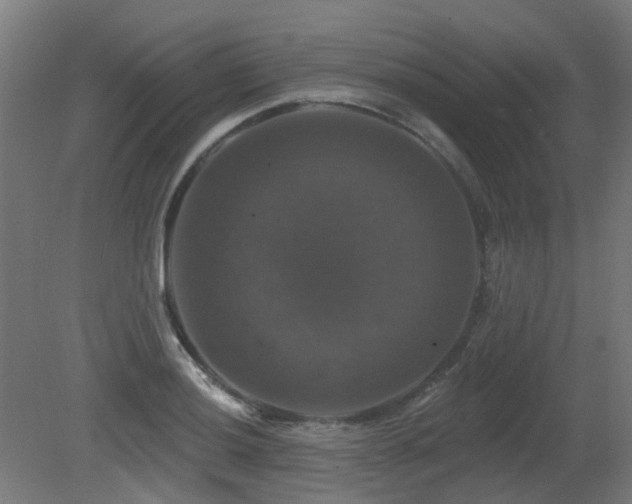 X0000081361036200701111516