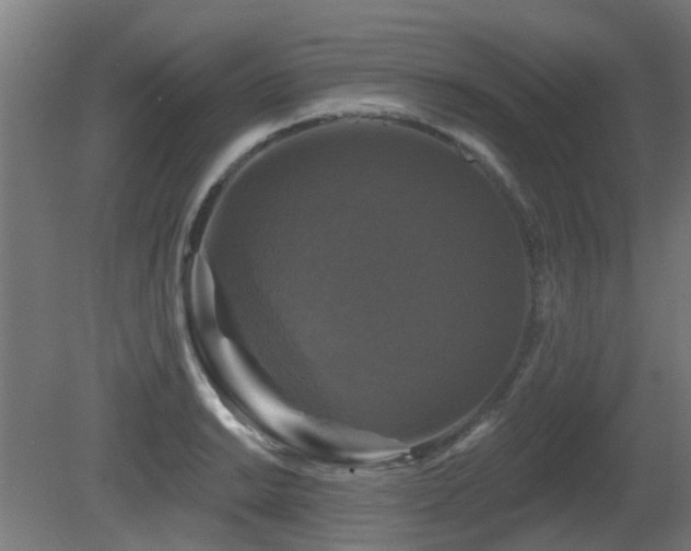 X0000081361038200701111516
