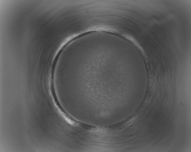 X0000081361040200701111516