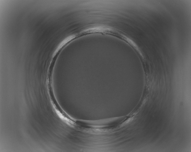 X0000081361042200701111516