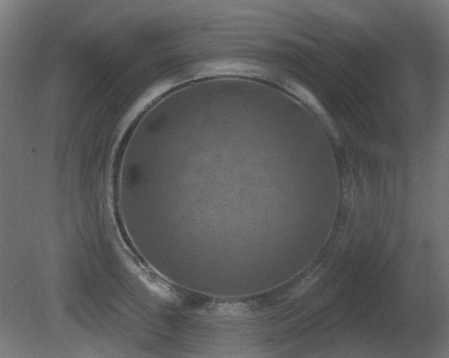 X0000081361043200701111516