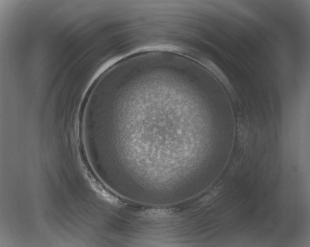 X0000081361044200701111516