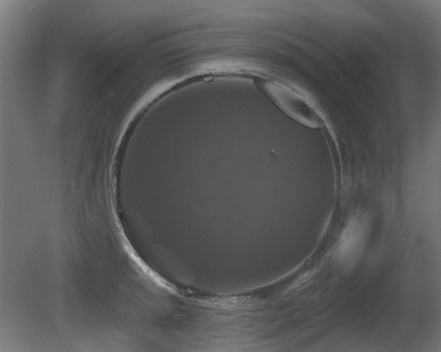 X0000081361045200701111516