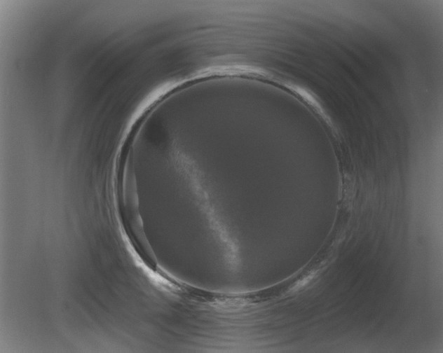 X0000081361046200701111516