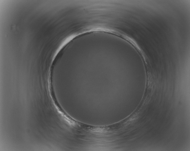 X0000081361048200701111516