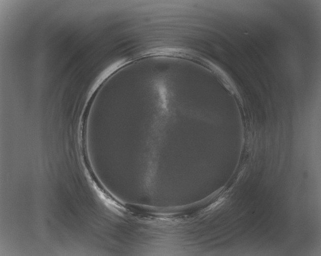 X0000081361050200701111516