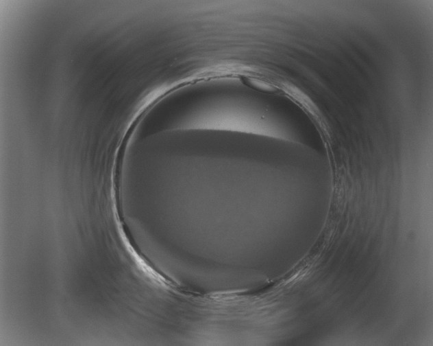 X0000081361055200701111516