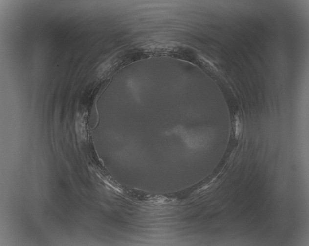 X0000081361059200701111515