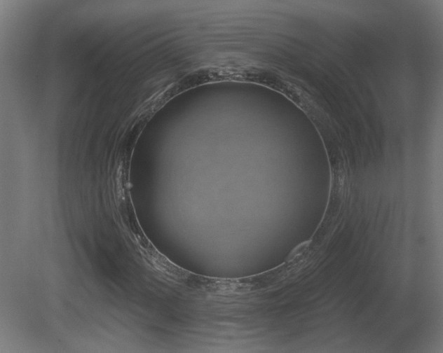 X0000081361060200701111515