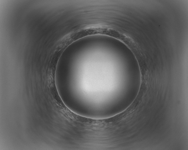 X0000081361062200701111515