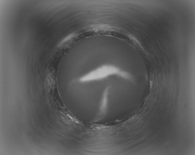 X0000081361063200701111515