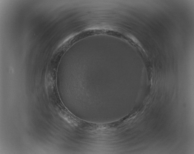 X0000081361064200701111515